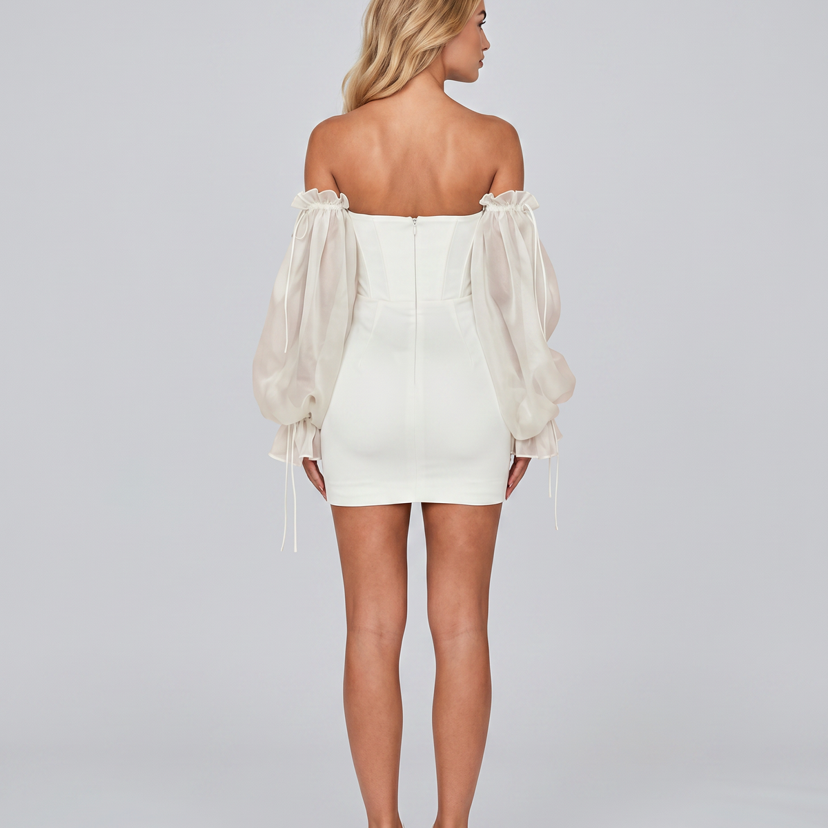 Joni | Mini Dress with Corset Bodice and Sheer Sleeves